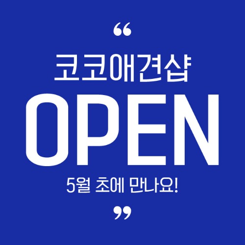 [오픈 개업 현수막 마카롱 네일삽 카페 미용실] 블루로망