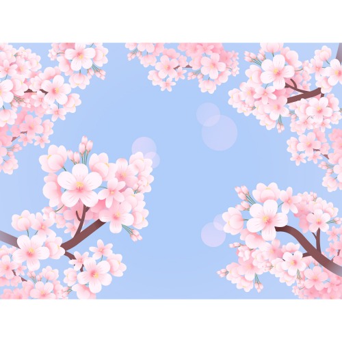 어린이집 봄 배경 벚꽃 계절 현수막 봄09 150X110cm